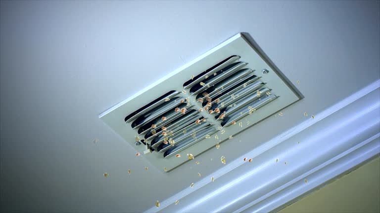 Best Best Air Duct Cleaning Company  in Winfield, MO