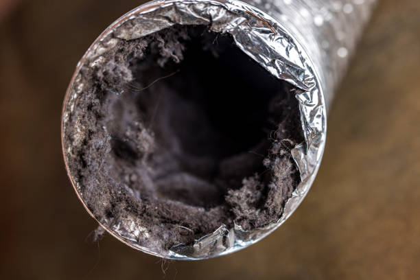 Best Ductwork Cleaning Services  in Winfield, MO