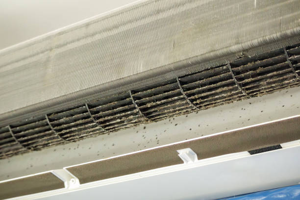 Best HVAC Air Duct Cleaning  in Winfield, MO